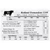 Image 1 : Redland Tremendous 1349