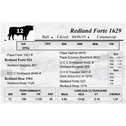 Redland Forte 1629