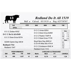 Redland Do It All 1519