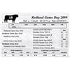 Image 1 : Redland Game Day 2099