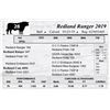 Image 1 : Redland Ranger 2019