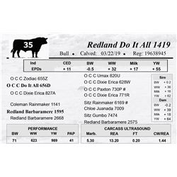 Redland Do It All 1419