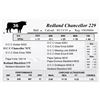 Image 1 : Redland Chancellor 229