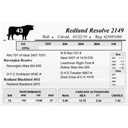 Redland Resolve 2149