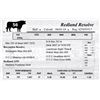 Image 1 : Redland Resolve
