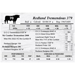 Redland Tremendous 379