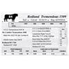 Image 1 : Redland Tremendous 1509