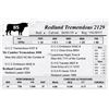 Image 1 : Redland Tremendous 2129