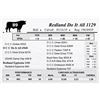 Image 1 : Redland Do It All 1129