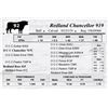 Image 1 : Redland Chancellor 919
