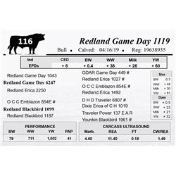 Redland Game Day 1119