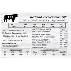 Redland Tremendous 289