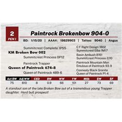 Paintrock Brokenbow 904-0