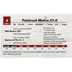 Paintrock Motive J11-0