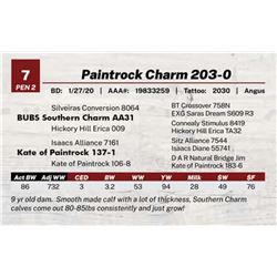 Paintrock Charm 203-0