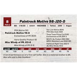 Paintrock Motive 98-J20-0