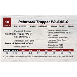 Paintrock Trapper P2-545-0