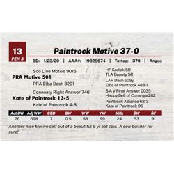 Paintrock Motive 37-0