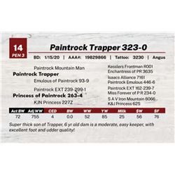 Paintrock Trapper 323-0