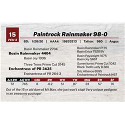 Paintrock Rainmaker 98-0