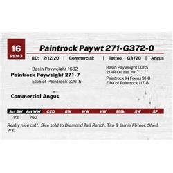 Paintrock Paywt 271-G372-0