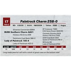 Paintrock Charm 258-0