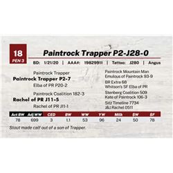 Paintrock Trapper P2-J28-0