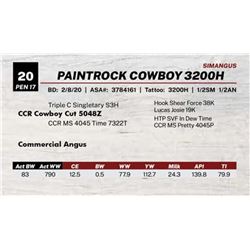 PAINTROCK COWBOY 3200H