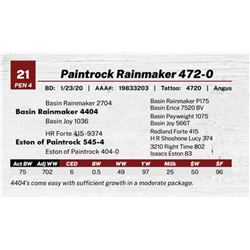 Paintrock Rainmaker 472-0