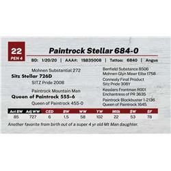 Paintrock Stellar 684-0