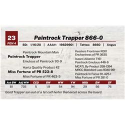 Paintrock Trapper 866-0