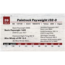 Paintrock Payweight J32-0