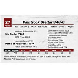 Paintrock Stellar 348-0