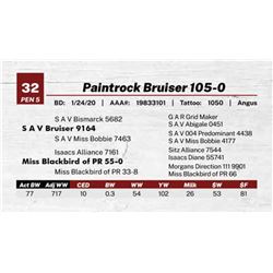 Paintrock Bruiser 105-0