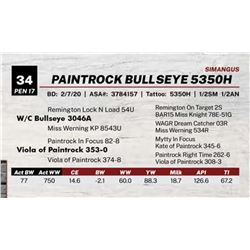 PAINTROCK BULLSEYE 5350H