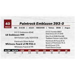 Paintrock Emblazon 393-0