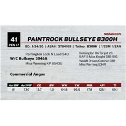 PAINTROCK BULLSEYE B300H