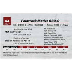 Paintrock Motive 930-0