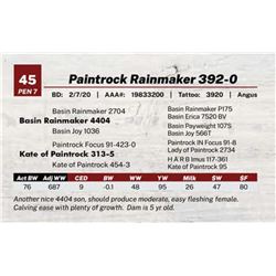 Paintrock Rainmaker 392-0