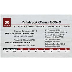 Paintrock Charm 385-0