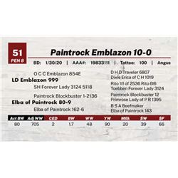 Paintrock Emblazon 10-0