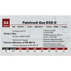 Paintrock Gus 859-0