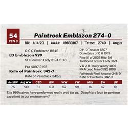 Paintrock Emblazon 274-0