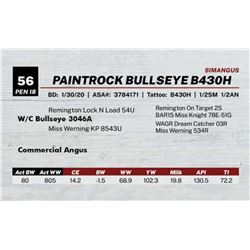 PAINTROCK BULLSEYE B430H