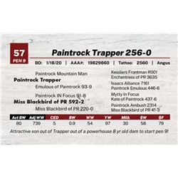 Paintrock Trapper 256-0