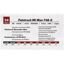 Paintrock Mt Man 748-0