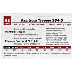 Paintrock Trapper 364-0