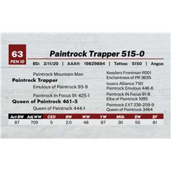 Paintrock Trapper 515-0