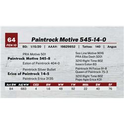 Paintrock Motive 545-14-0