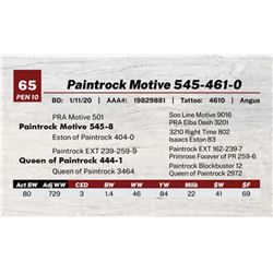 Paintrock Motive 545-461-0